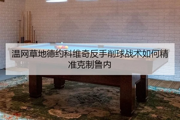 温网草地德约科维奇反手削球战术如何精准克制鲁内